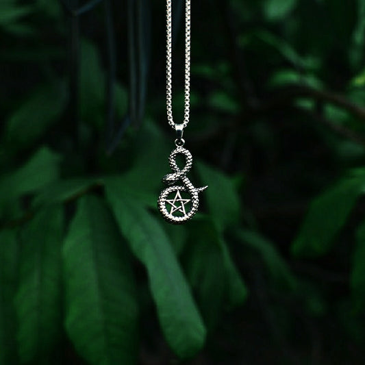 Snake Pentacle - Silver